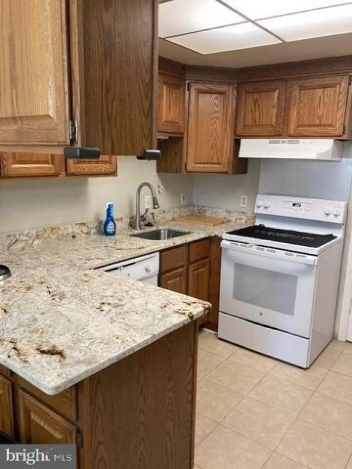 Picture of Apartment For Rent in Silver Spring, Maryland, United States