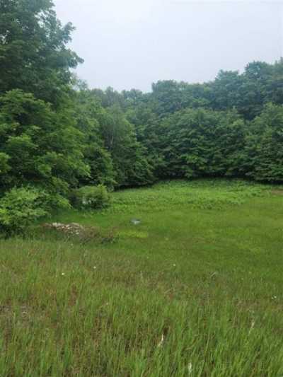 Residential Land For Sale in Ellsworth, Michigan