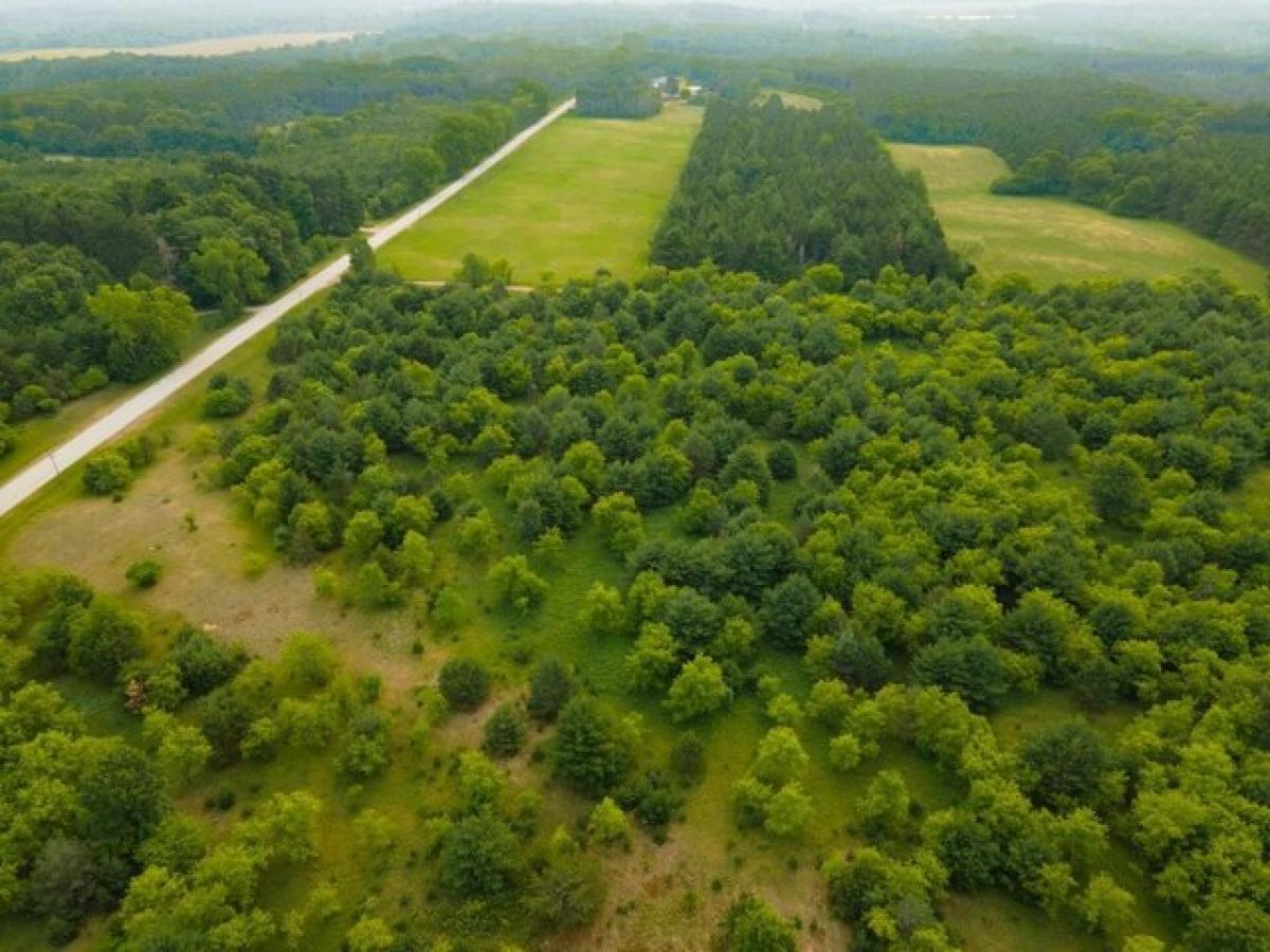 Picture of Residential Land For Sale in Wild Rose, Wisconsin, United States
