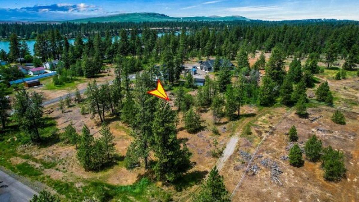 Picture of Residential Land For Sale in Medical Lake, Washington, United States
