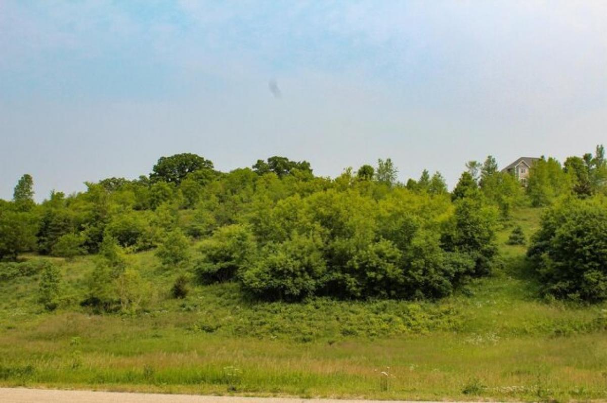 Picture of Residential Land For Sale in New Glarus, Wisconsin, United States