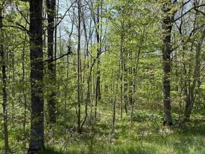 Residential Land For Sale in Howard City, Michigan