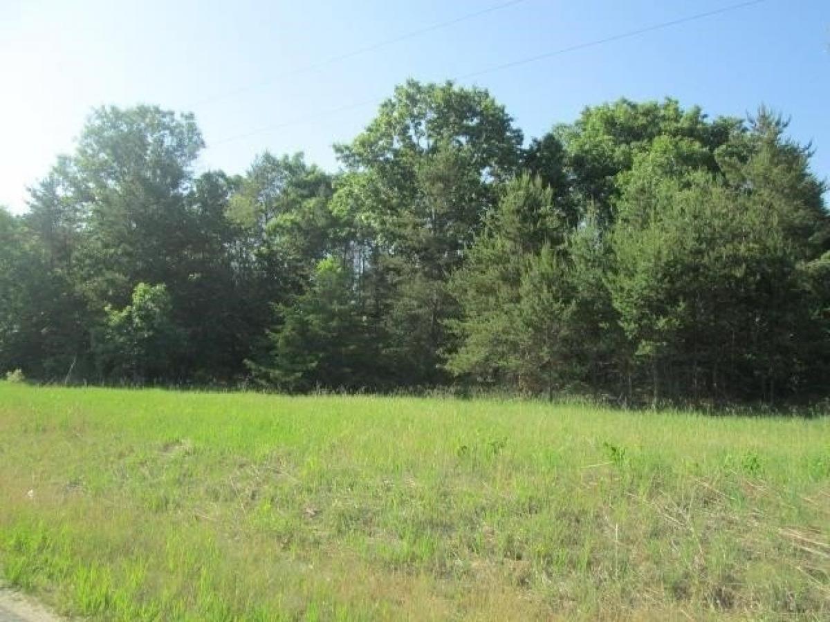 Picture of Residential Land For Sale in Lyndon Station, Wisconsin, United States