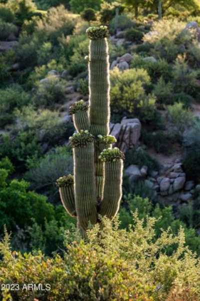Residential Land For Sale in Scottsdale, Arizona
