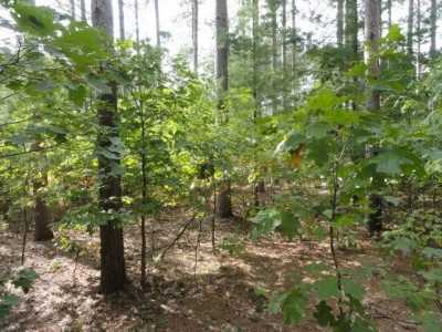 Residential Land For Sale in Lyndon Station, Wisconsin