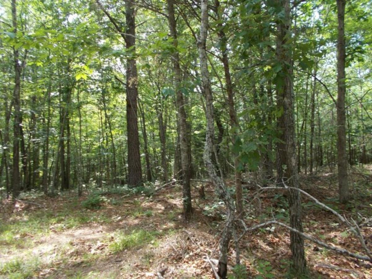 Picture of Residential Land For Sale in Mcewen, Tennessee, United States
