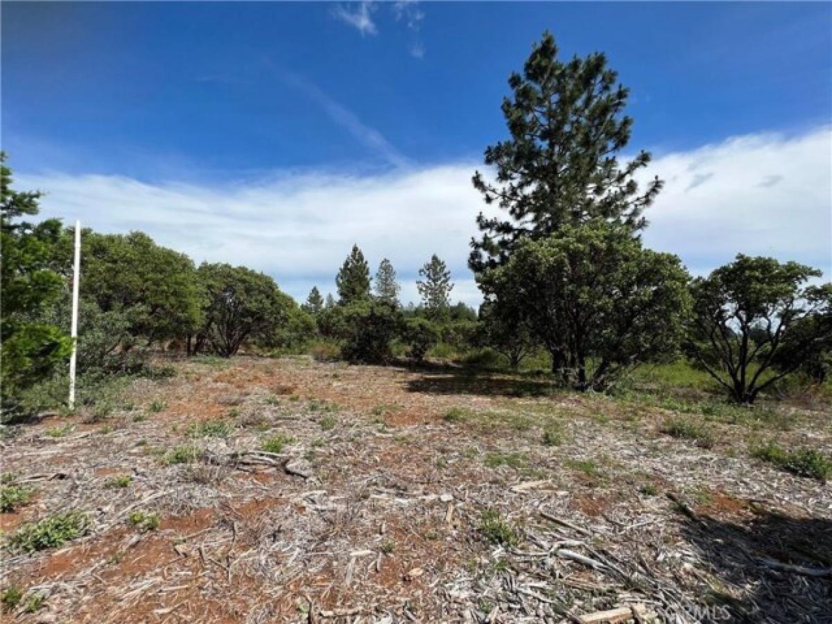 Picture of Residential Land For Sale in Forest Ranch, California, United States