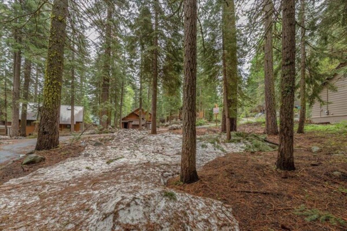 Picture of Residential Land For Sale in Truckee, California, United States