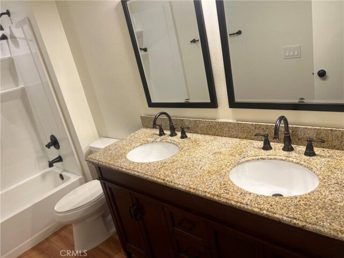 Picture of Home For Rent in Loma Linda, California, United States