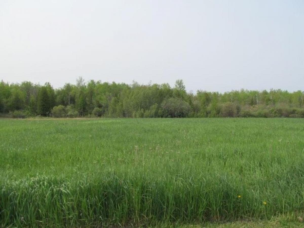 Picture of Residential Land For Sale in Mcbain, Michigan, United States