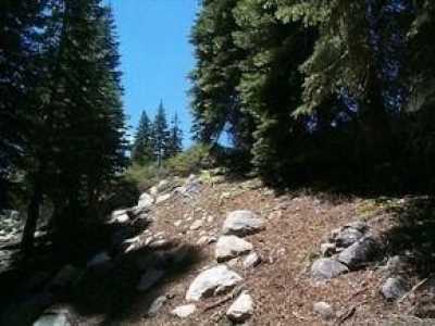 Residential Land For Sale in Bear Valley, California