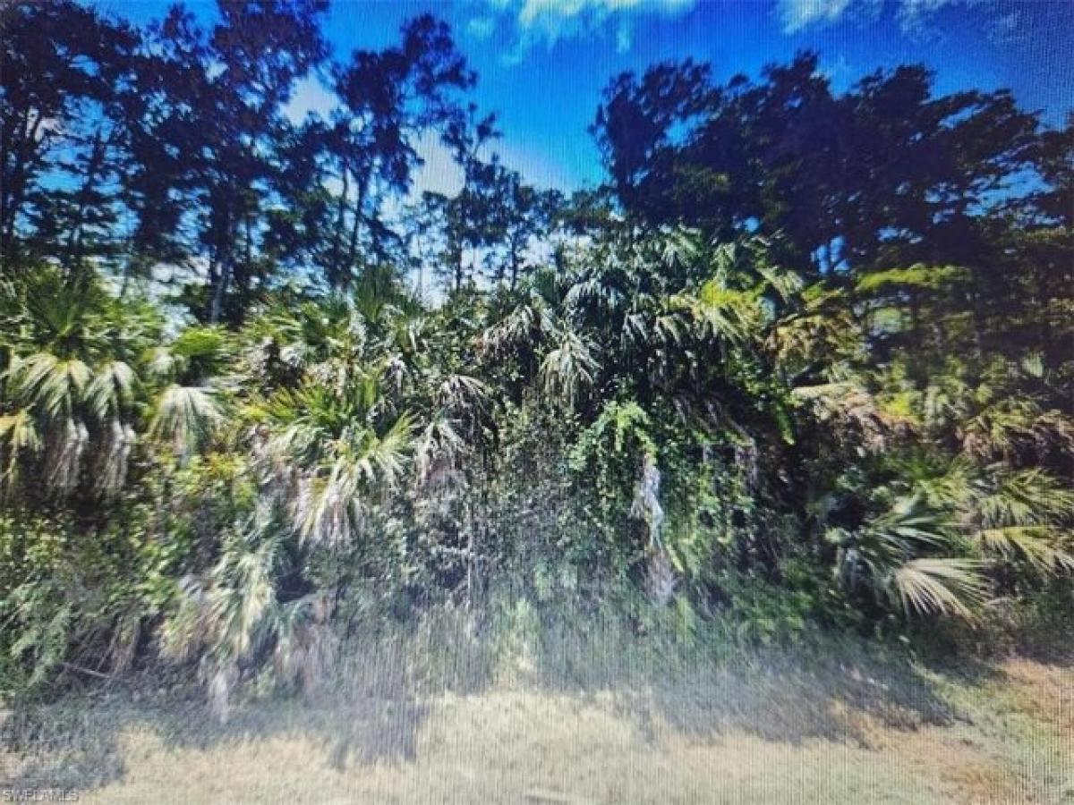 Picture of Residential Land For Sale in Naples, Florida, United States