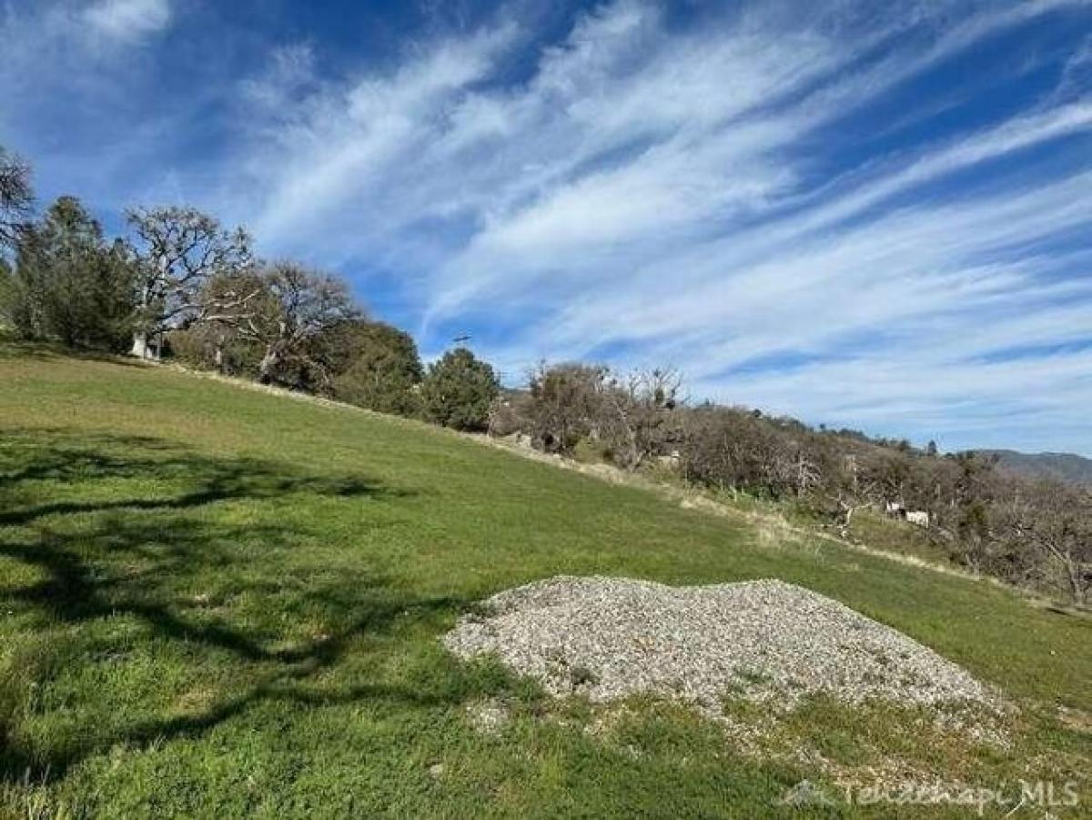 Picture of Residential Land For Sale in Tehachapi, California, United States