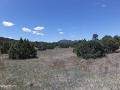 Residential Land For Sale in Vernon, Arizona