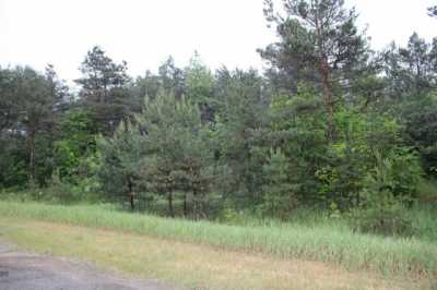 Residential Land For Sale in Fairview, Michigan