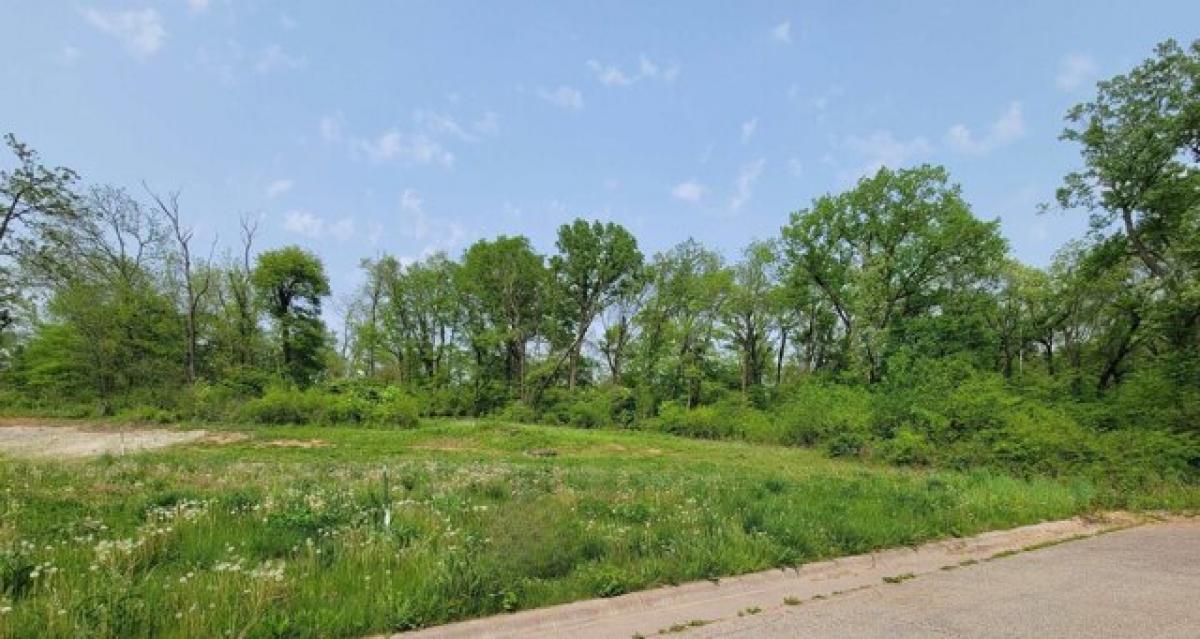 Picture of Residential Land For Sale in Hazel Green, Wisconsin, United States