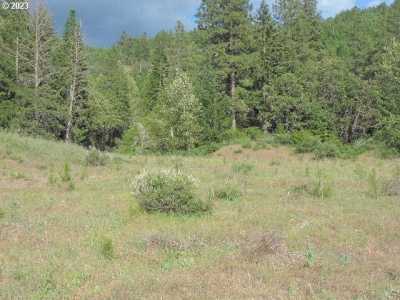 Residential Land For Sale in Trout Lake, Washington