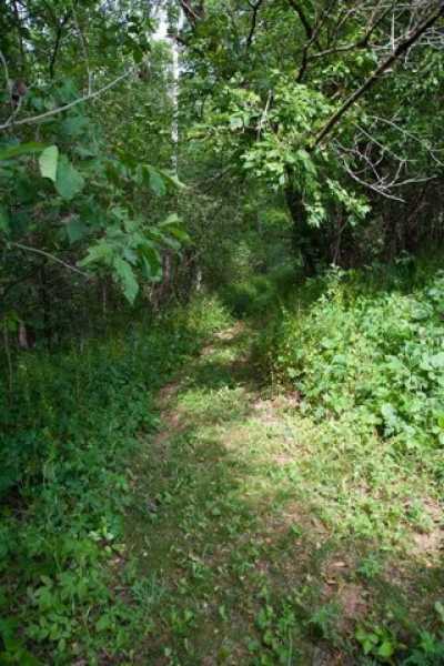 Residential Land For Sale in Mount Horeb, Wisconsin