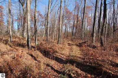 Residential Land For Sale in Falmouth, Michigan