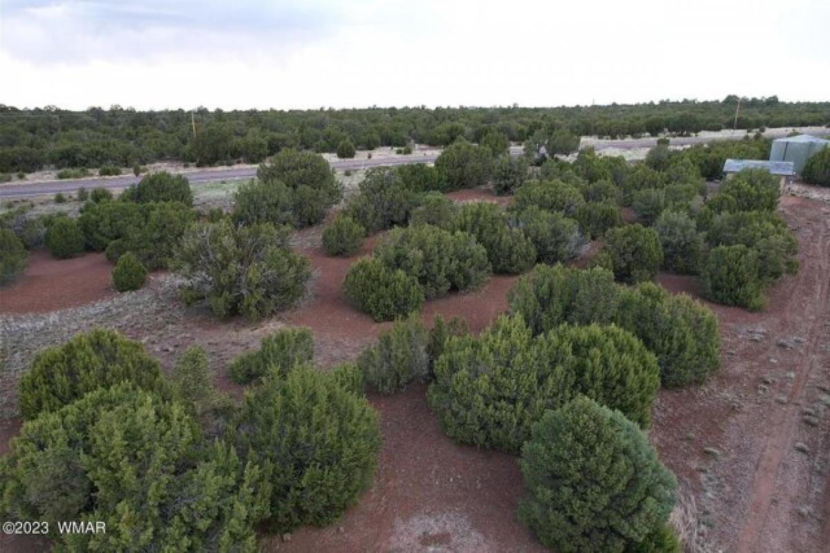 Picture of Residential Land For Sale in Concho, Arizona, United States