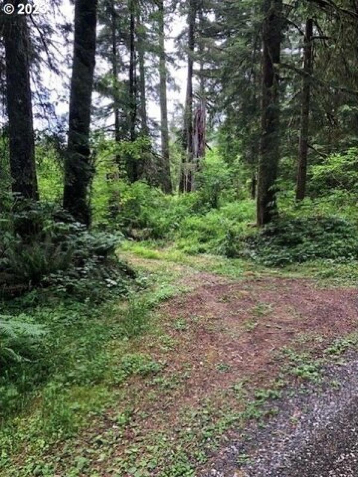 Picture of Residential Land For Sale in Yacolt, Washington, United States