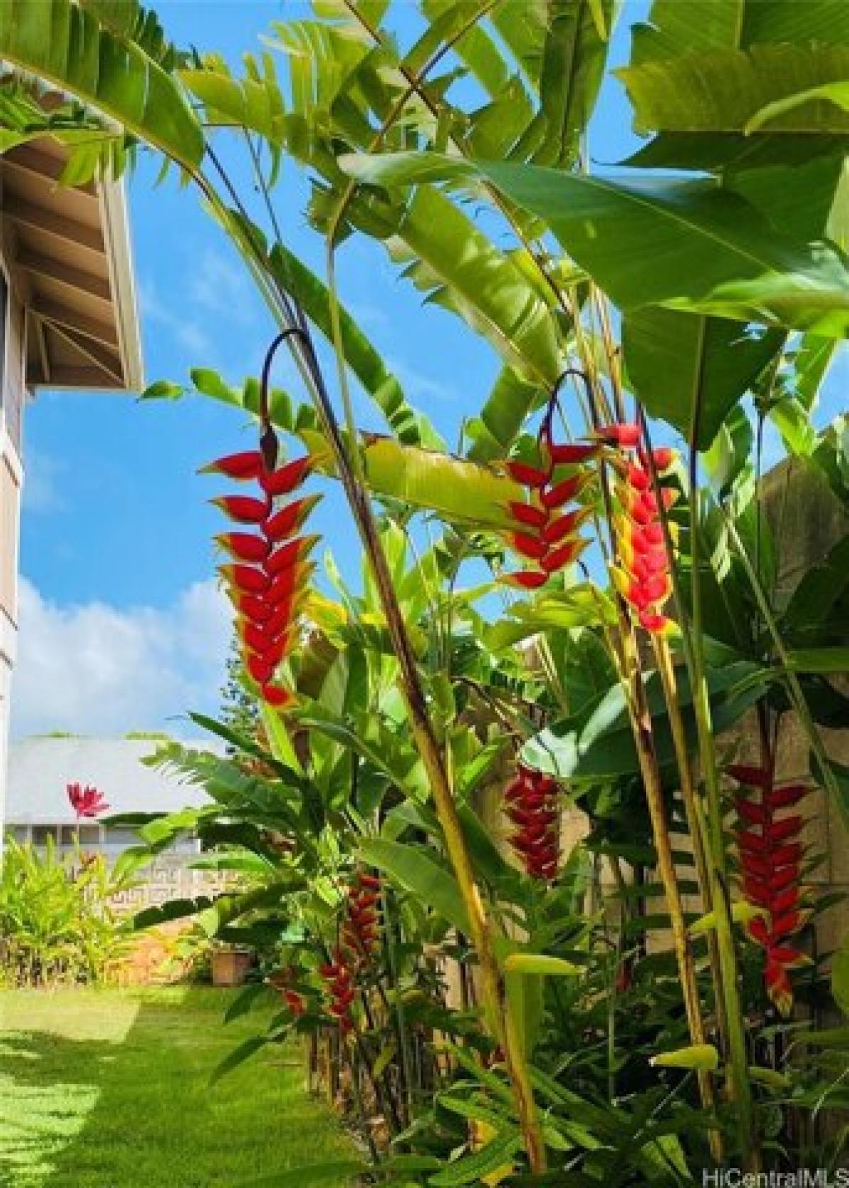Picture of Home For Sale in Mililani, Hawaii, United States