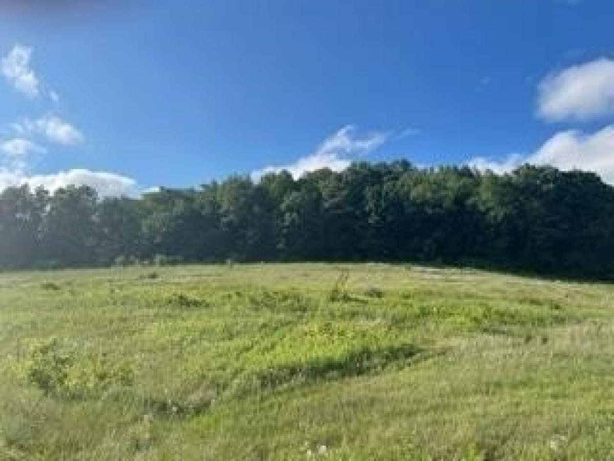 Picture of Residential Land For Sale in Richland Center, Wisconsin, United States