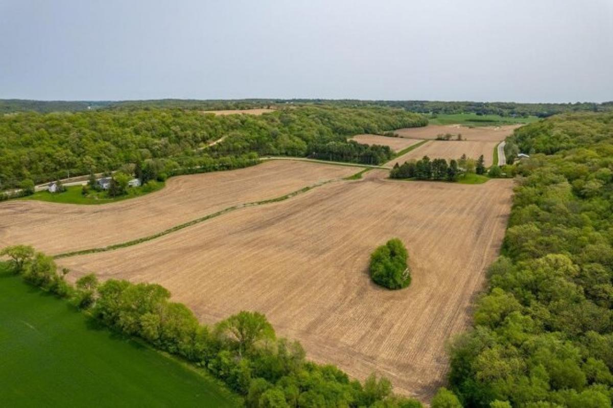 Picture of Residential Land For Sale in Cross Plains, Wisconsin, United States