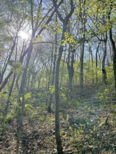 Residential Land For Sale in Dixon Springs, Tennessee