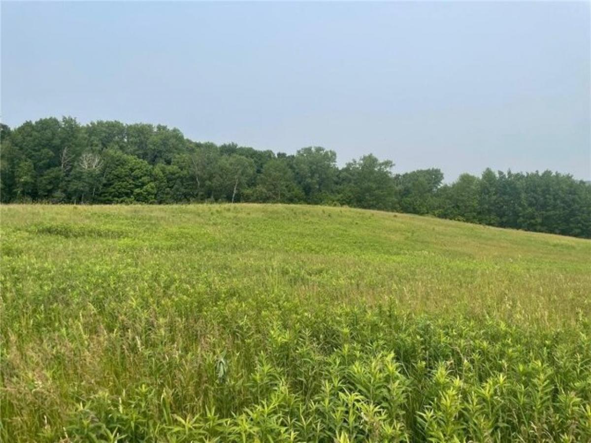 Picture of Residential Land For Sale in Boyceville, Wisconsin, United States