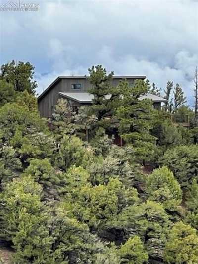 Home For Sale in Howard, Colorado