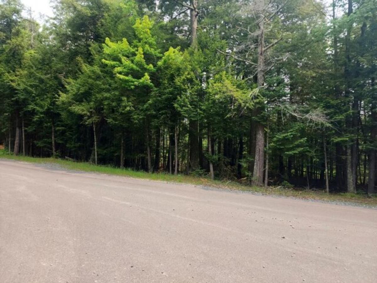 Picture of Residential Land For Sale in Three Lakes, Wisconsin, United States
