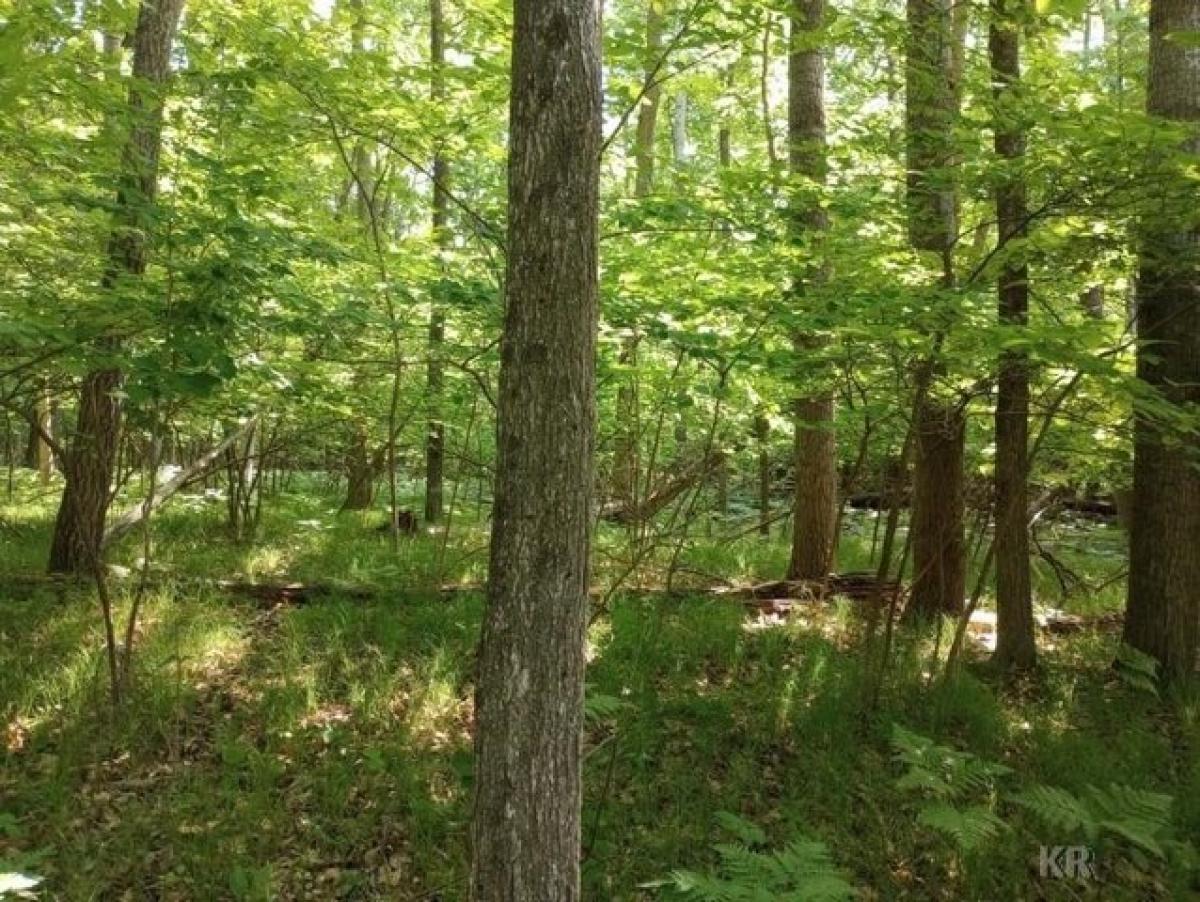 Picture of Residential Land For Sale in Farwell, Michigan, United States