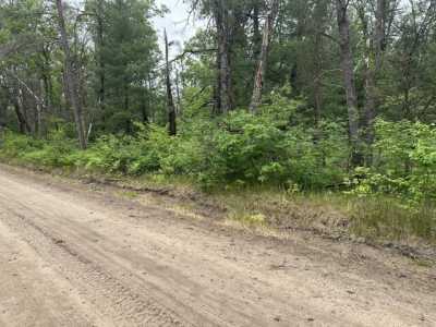 Residential Land For Sale in Baldwin, Michigan