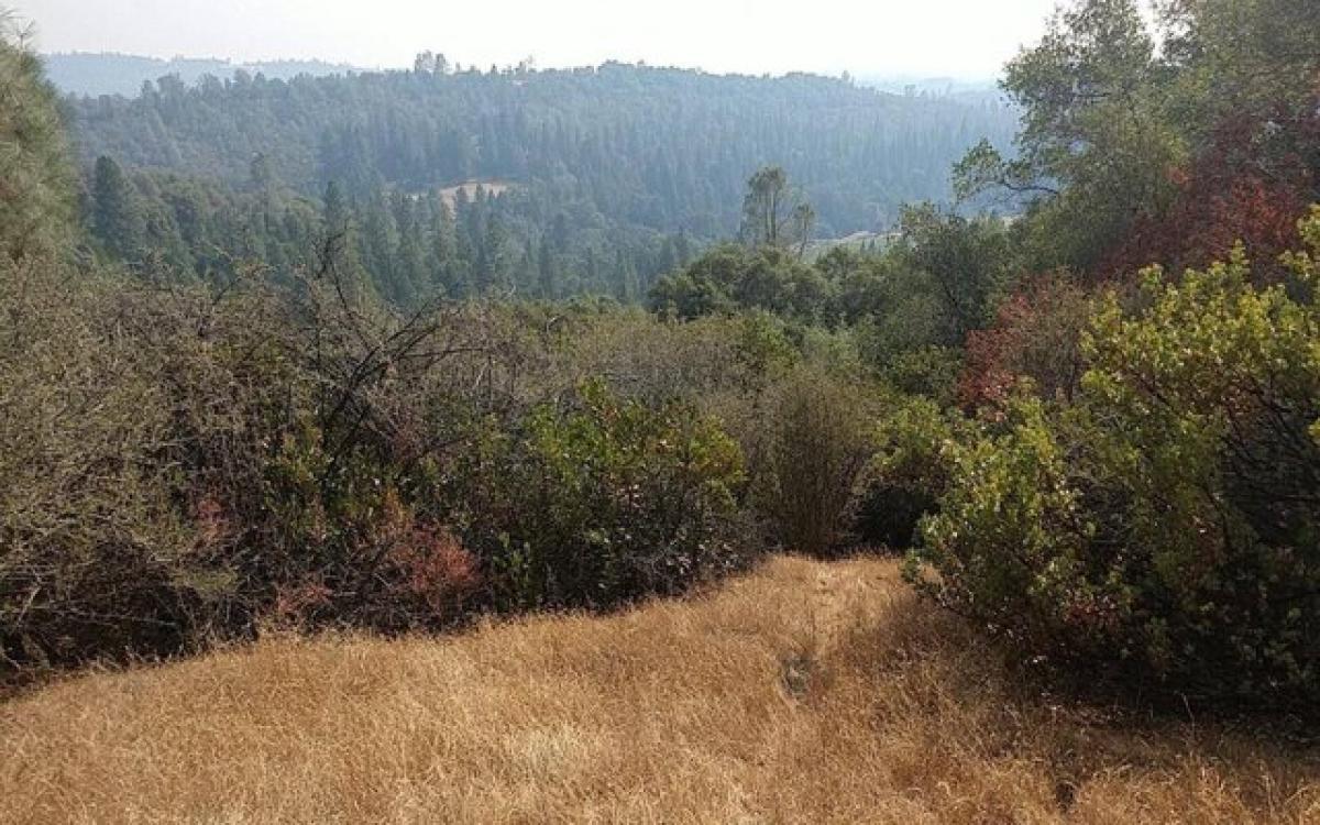 Picture of Residential Land For Sale in Fiddletown, California, United States