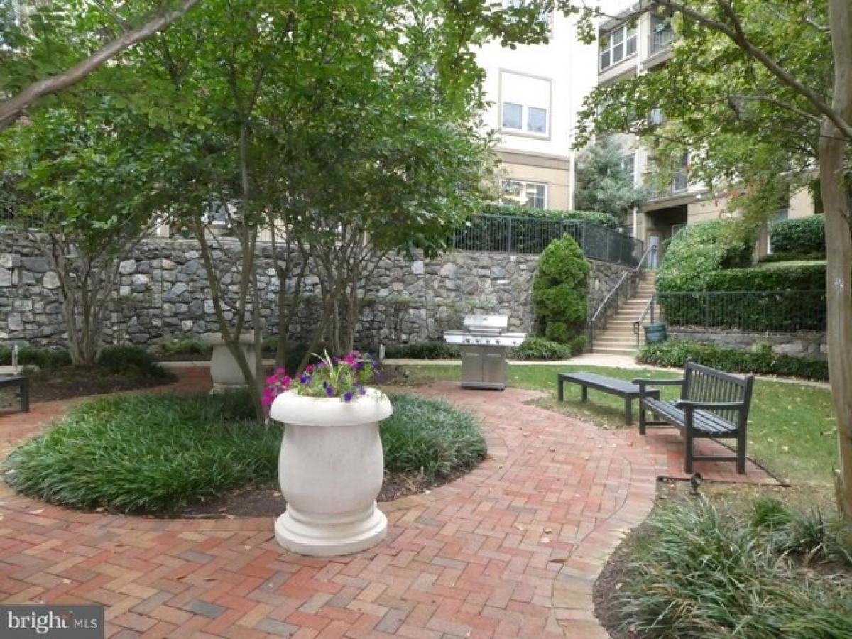 Picture of Home For Rent in North Bethesda, Maryland, United States