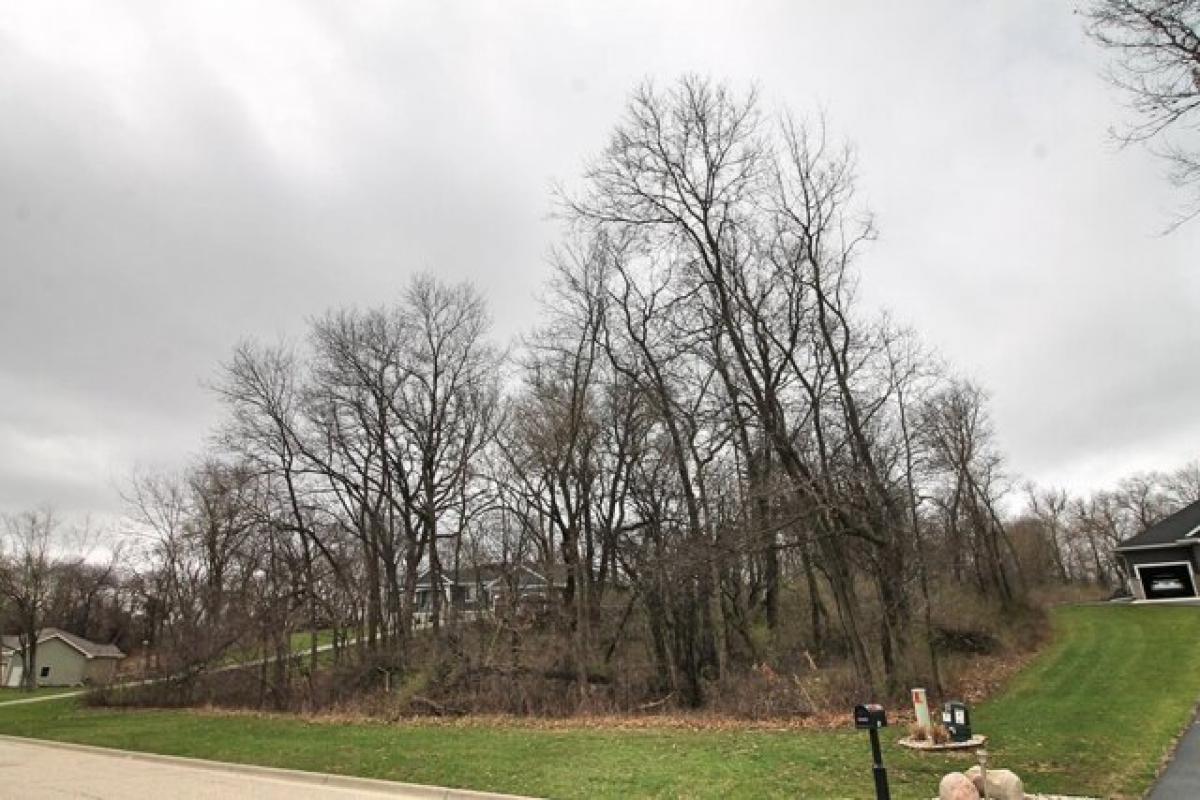 Picture of Residential Land For Sale in Janesville, Wisconsin, United States