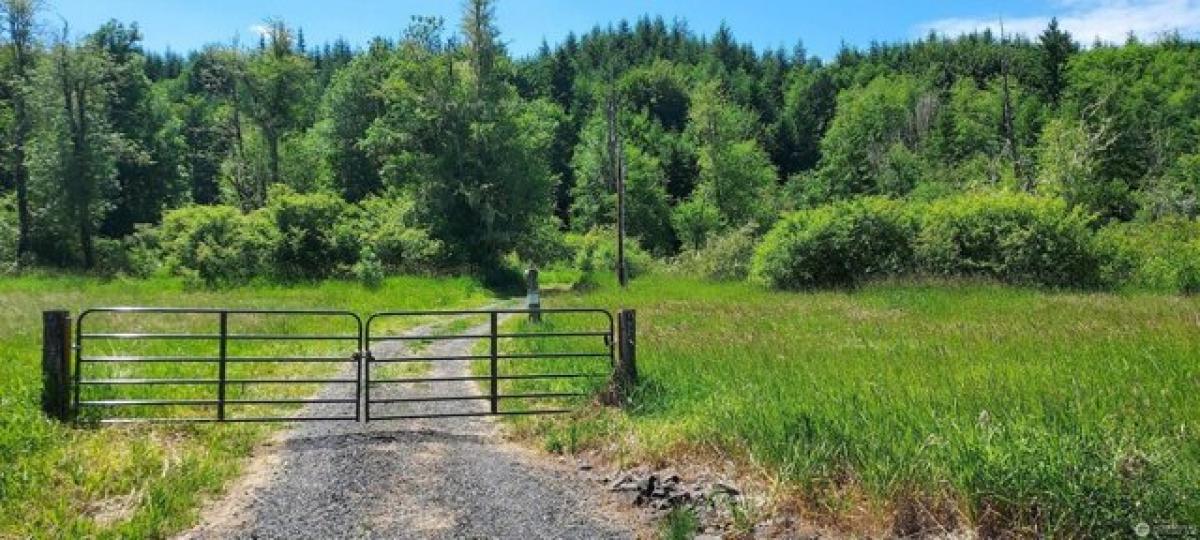 Picture of Residential Land For Sale in Chehalis, Washington, United States