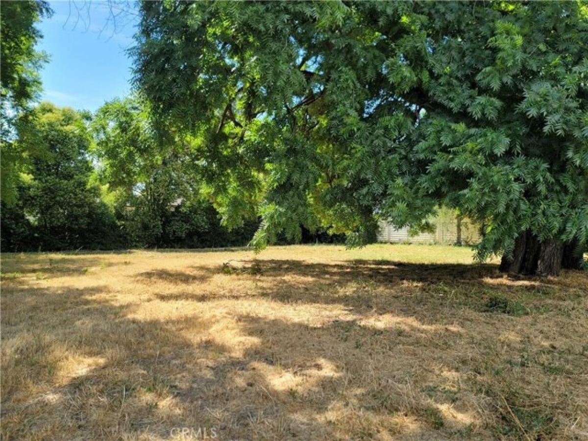 Picture of Residential Land For Sale in Tehama, California, United States
