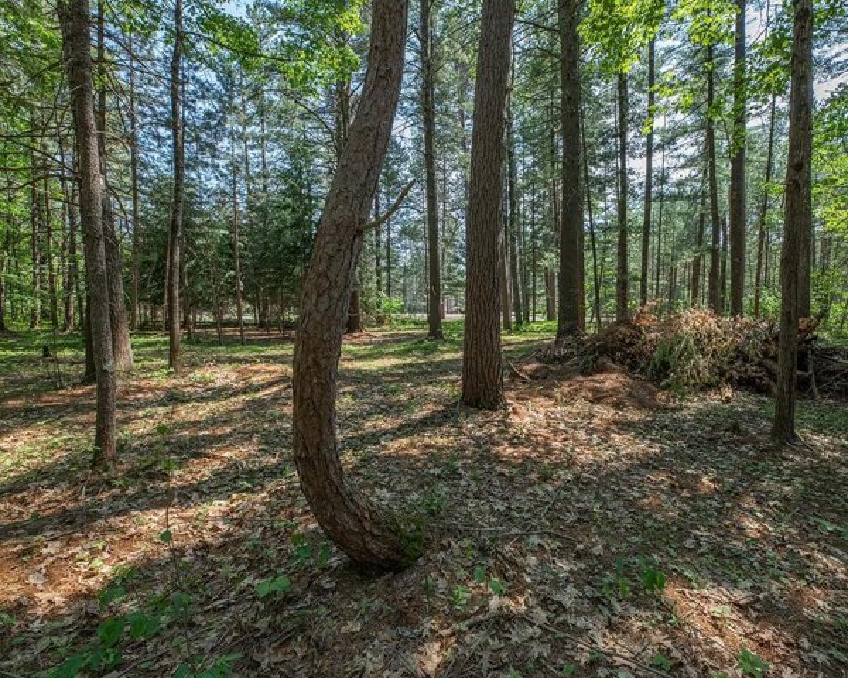 Picture of Residential Land For Sale in Manitowish Waters, Wisconsin, United States