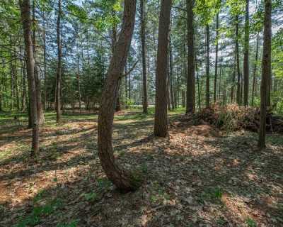 Residential Land For Sale in Manitowish Waters, Wisconsin