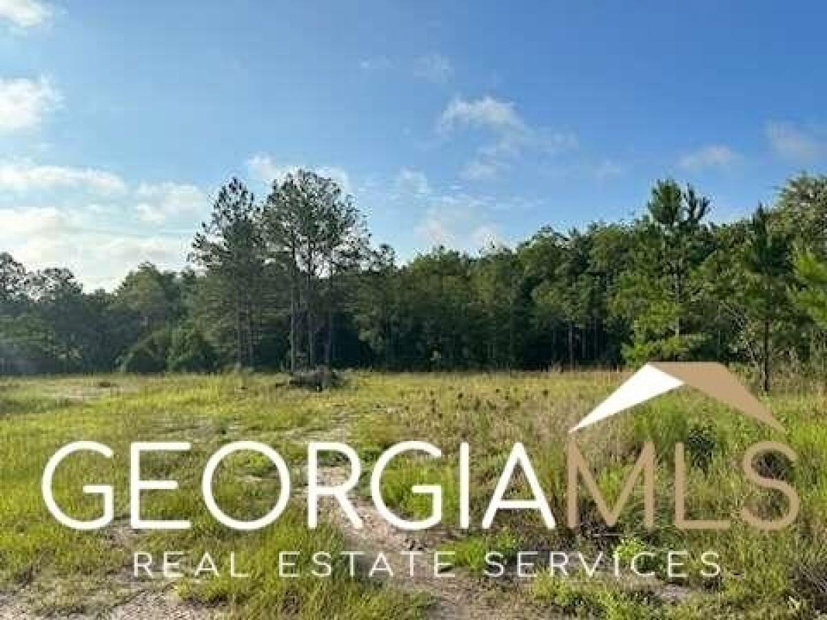Picture of Residential Land For Sale in Waynesville, Georgia, United States