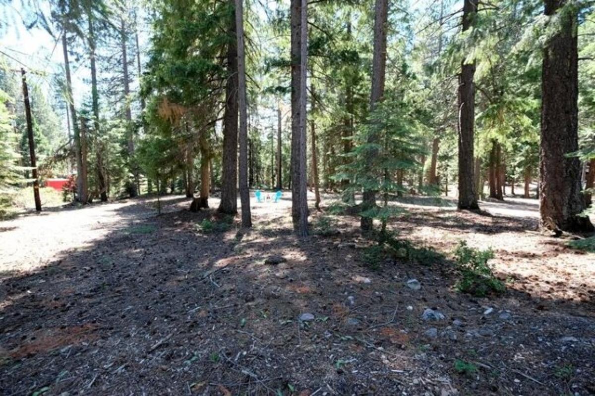 Picture of Residential Land For Sale in Mount Shasta, California, United States