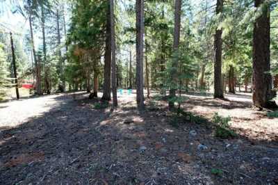Residential Land For Sale in Mount Shasta, California