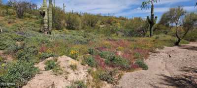 Residential Land For Sale in Morristown, Arizona