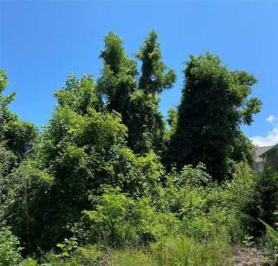 Residential Land For Sale in Asheville, North Carolina