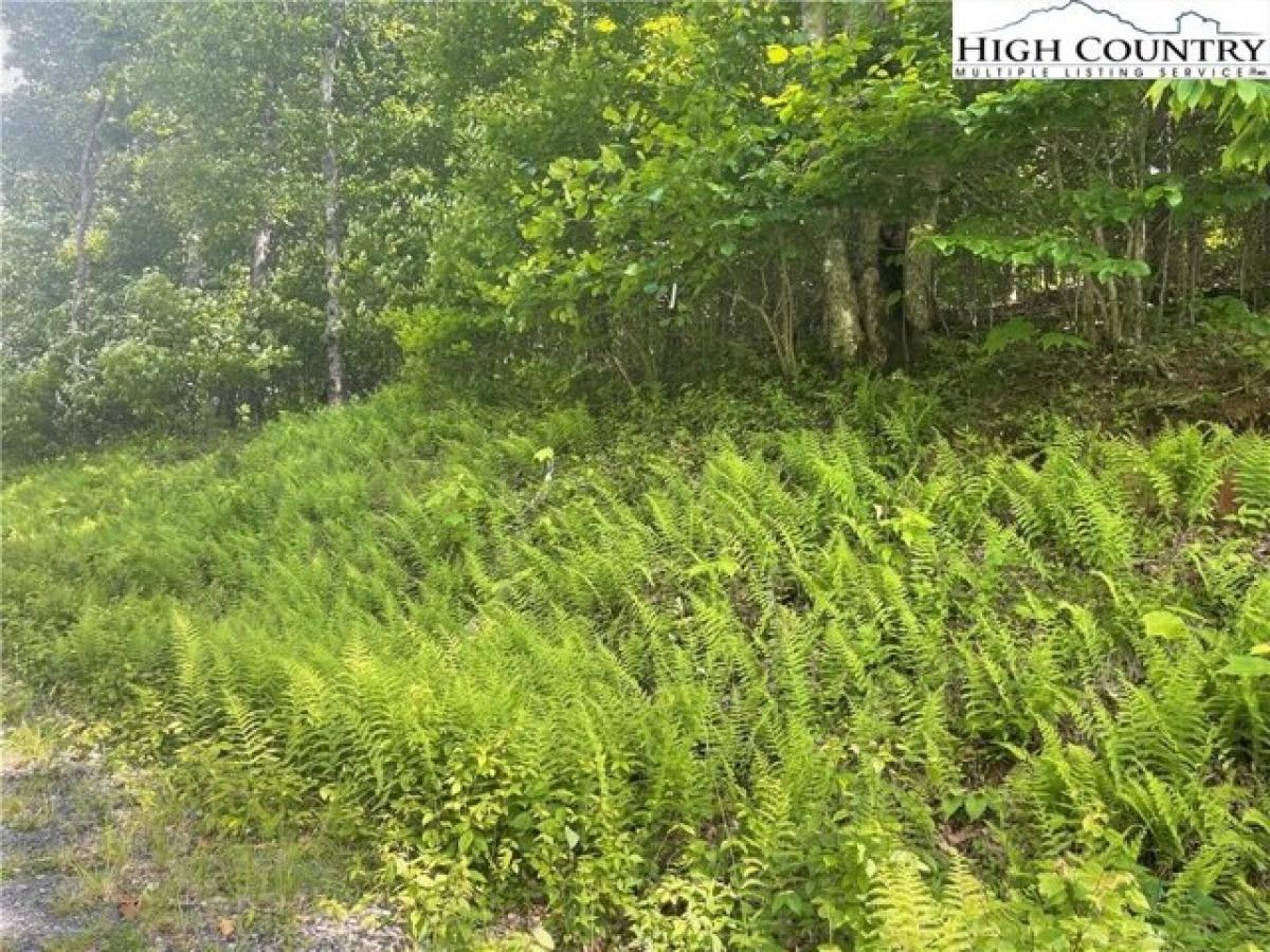 Picture of Residential Land For Sale in Boone, North Carolina, United States