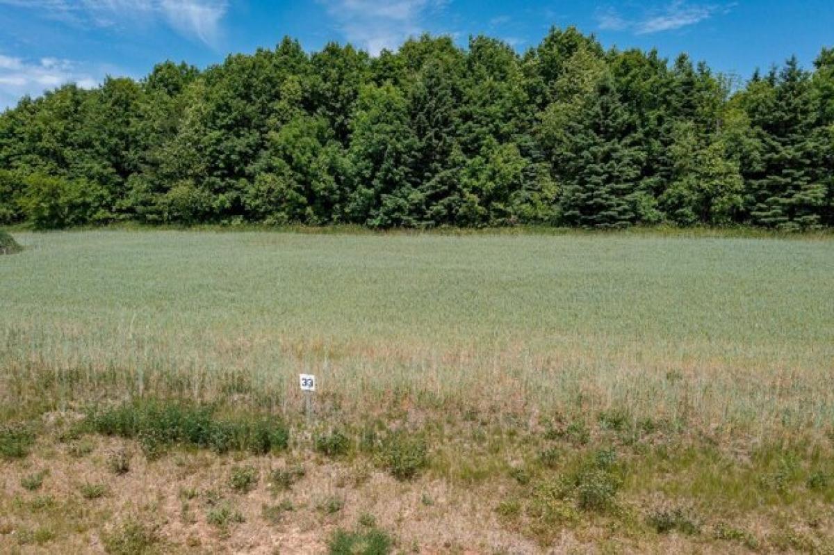 Picture of Residential Land For Sale in Hortonville, Wisconsin, United States