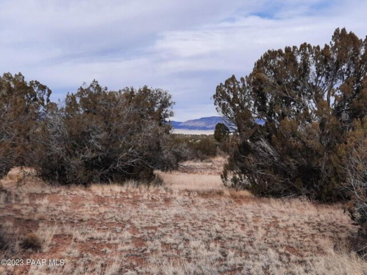 Picture of Residential Land For Sale in Seligman, Arizona, United States