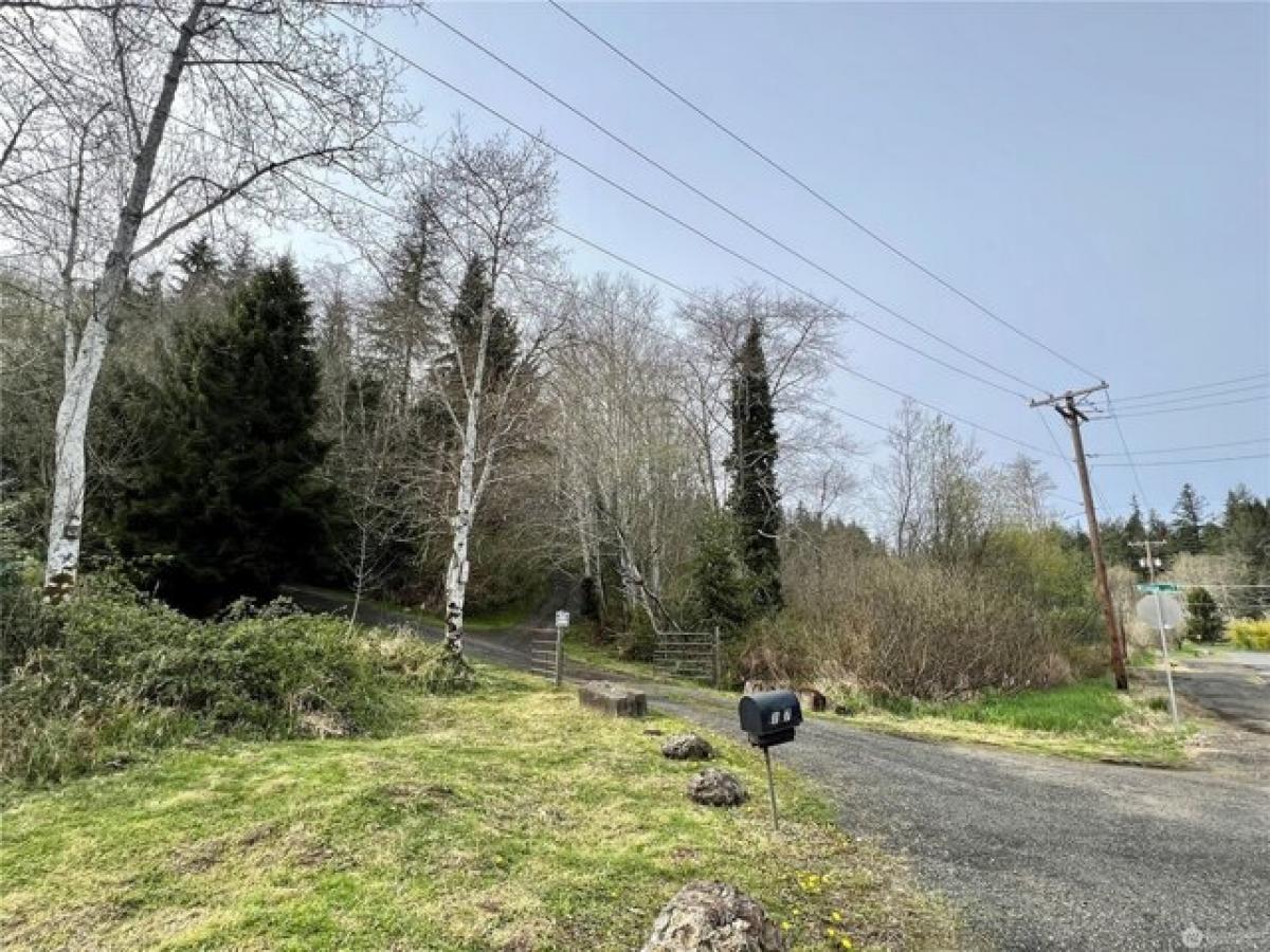 Picture of Residential Land For Sale in Aberdeen, Washington, United States